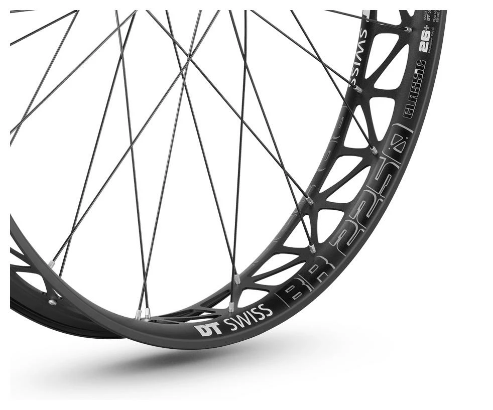 Dt-swiss BR 2250 Classic 26" Fatbike Disc CL 12/197mm TA Shimano Hinterrad – Bild 3