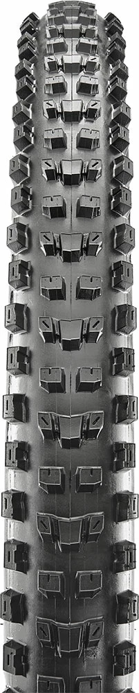 MAXXIS Dissector 29x2,40" WT EXO+ TR 3C MaxxTerra 120 Faltreifen - Image 2